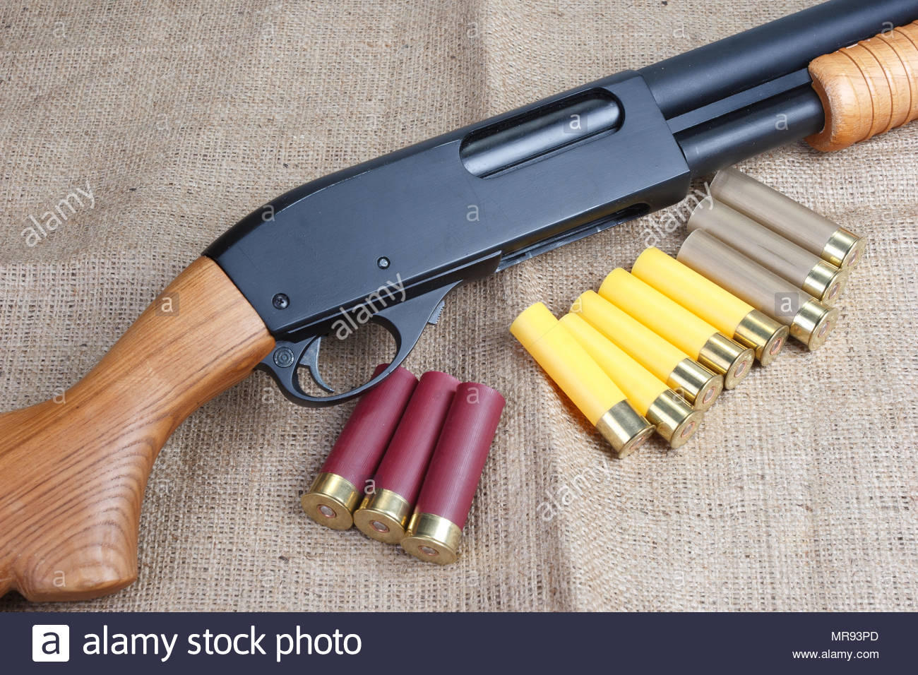 Fusils à pompe de chasse