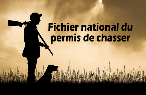 Permis de chasse en France : la mauvaise nouvelle confirmée pour les chasseurs